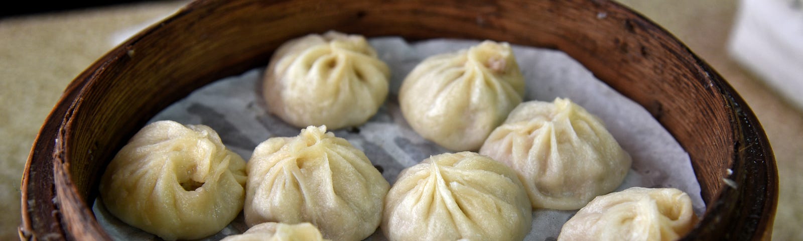 Deliciously thought-provoking soup dumplings.