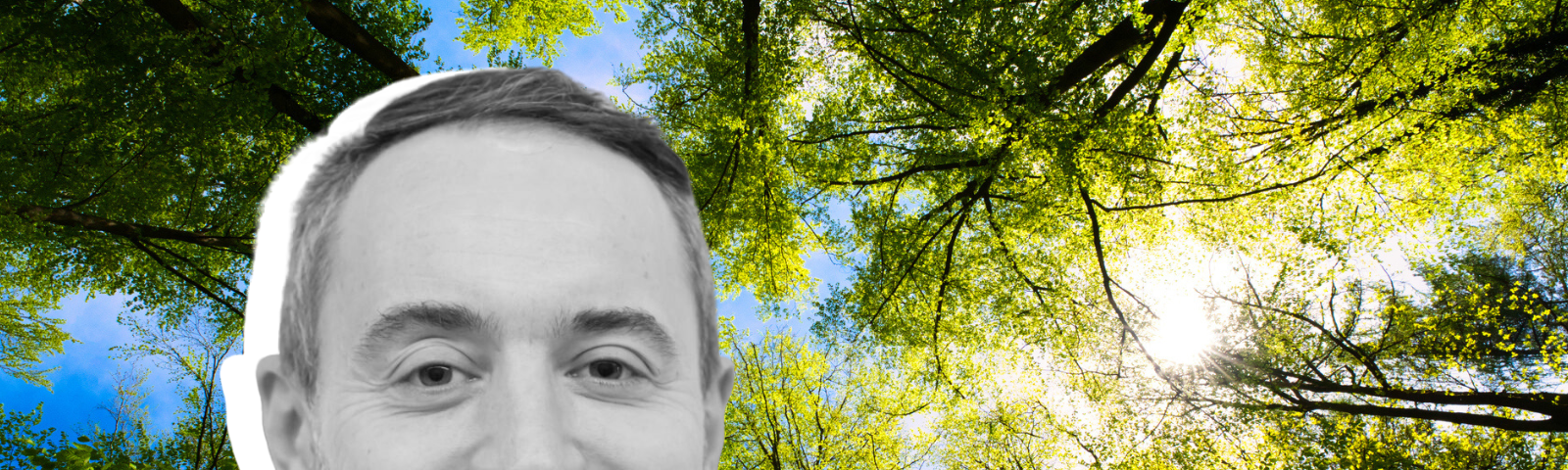 Photo of sunlit trees in the background with a headshot photo of Christopher Rabe in the foreground.
