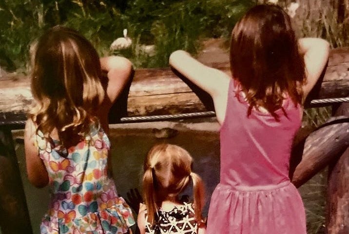 The back of three little girls’ heads.