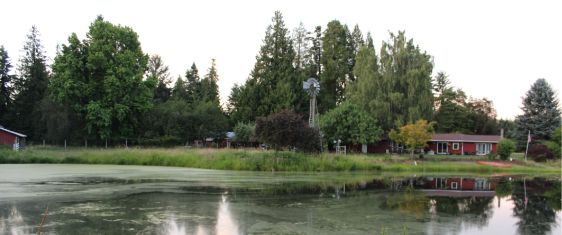 photo of a red house set next to a pond, with trees around it.