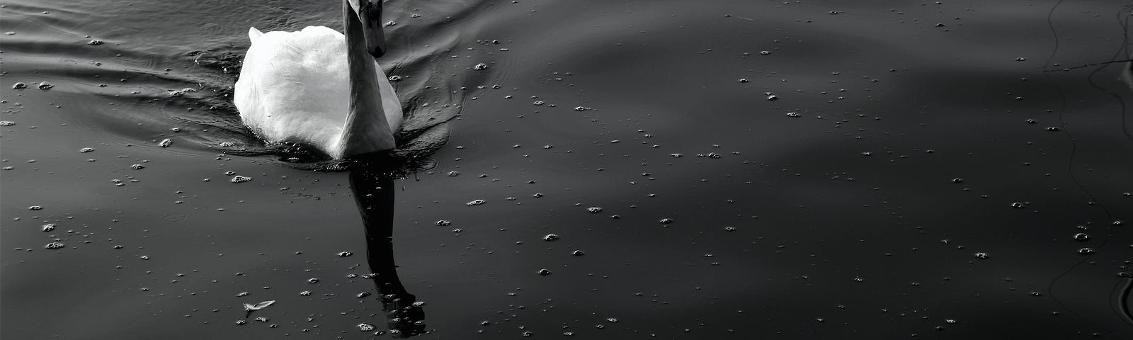 A black and white photo of a swan creating ripples in the water as it swims into frame in the top left corner. It’s reflection leads it through bubbles floating across the water.