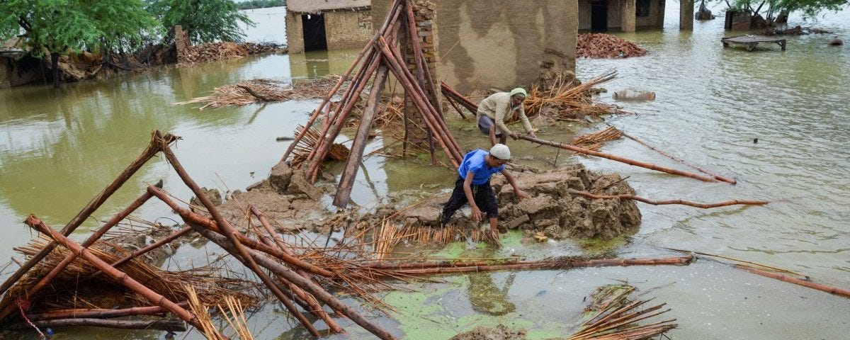 https://thewire.in/south-asia/pakistan-floods-sindh-thatta-women