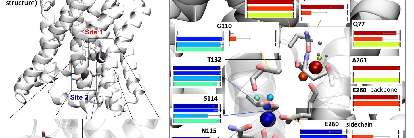 Infographic explaining molecular dynamics computer simulation