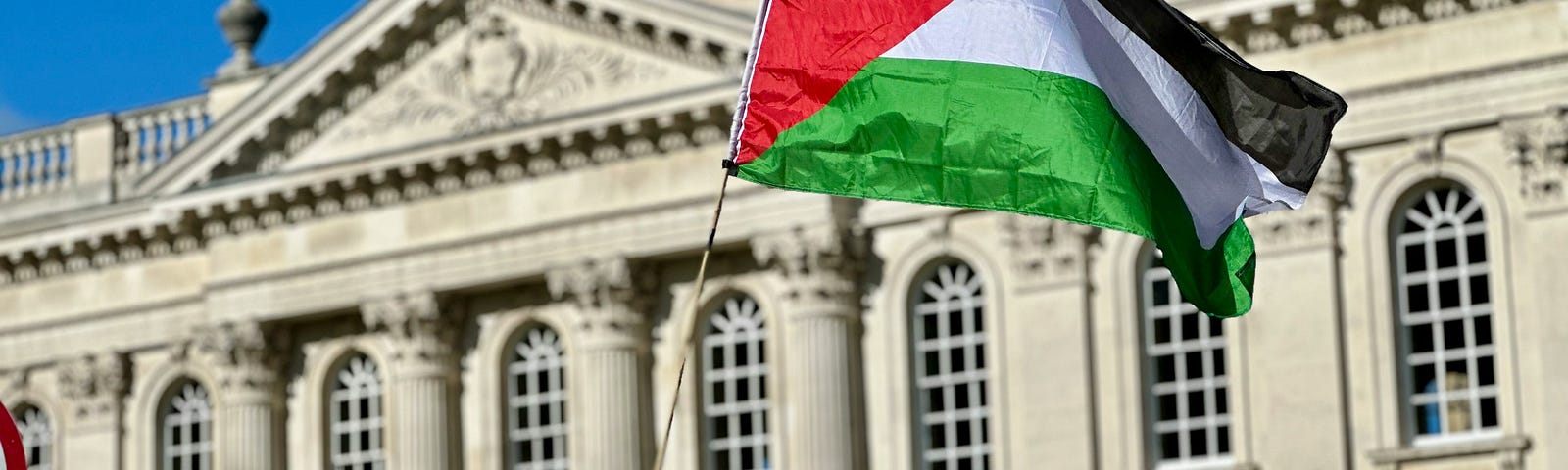 Palestinian flag, boy, protest march, government building