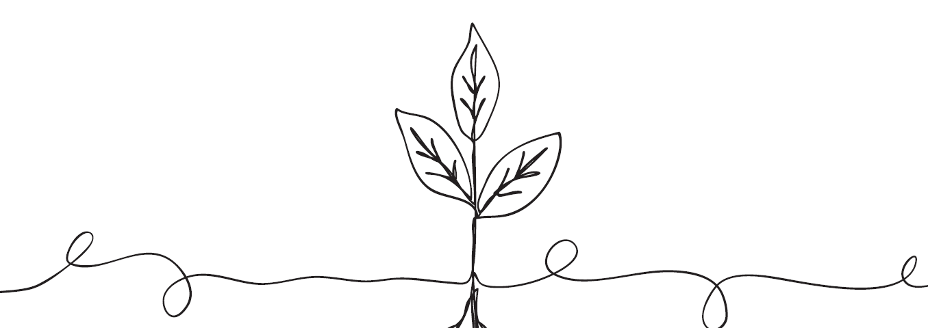 Simple line illustration of a plant with three leaves growing out of the ground and roots below.