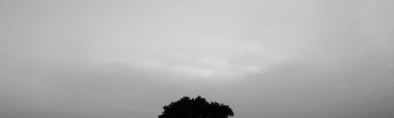 A black and white picture with the silhouette of two persons standing under a tree before a cloudy sky in the background.