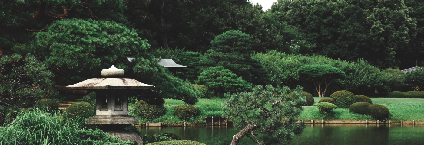 A Japanese garden, a bonsai tree next to the water
