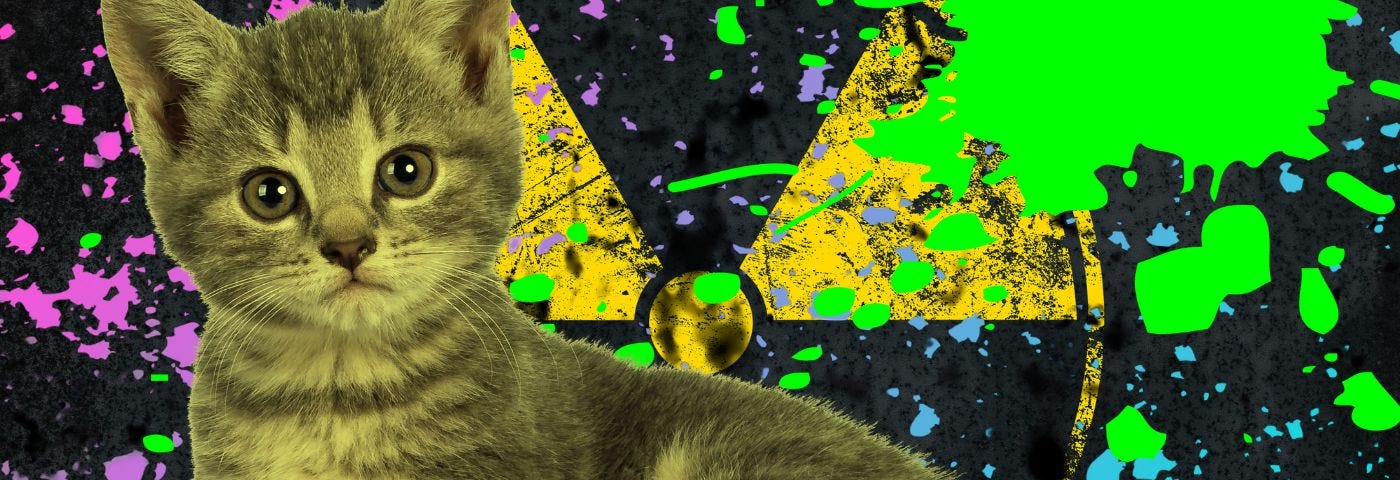 A kitten in front of a radioactive background.