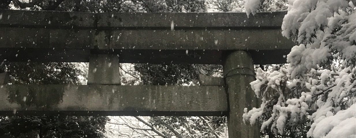 snow covered trees in Japanese temple