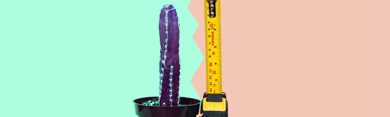 neon-colored picture of a tiny cactus next to a tape measure. It’s small, it’s no dongmongulous more like a sex suppository tic tac.