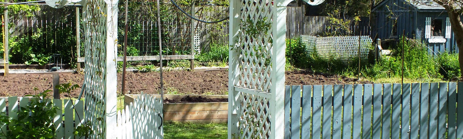 Photograph of the shadows on the garden gate and fence.