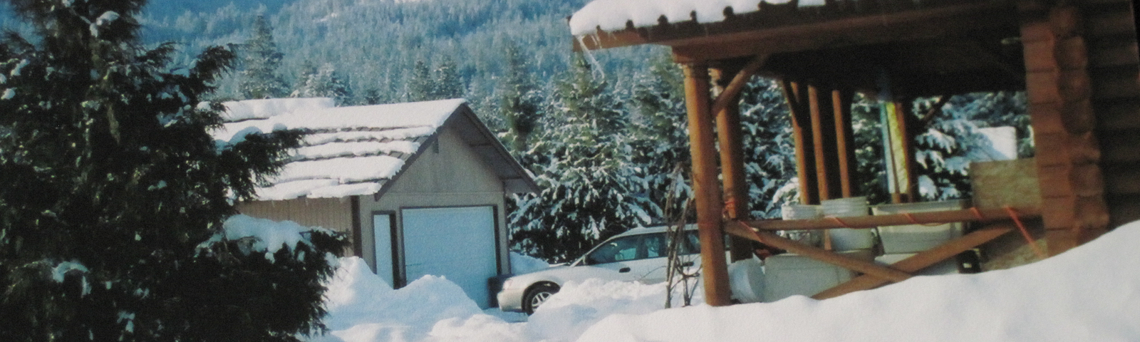 cabin surrounded by snow