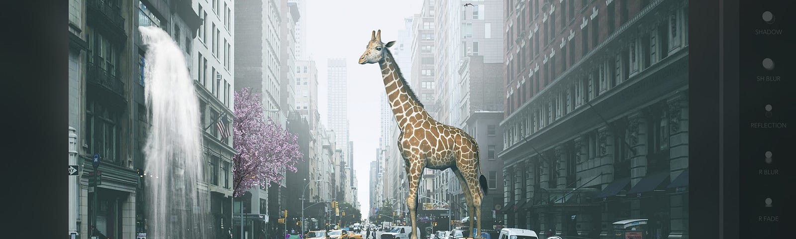 Urban Jungle giraffe in street. Getting started with settings.