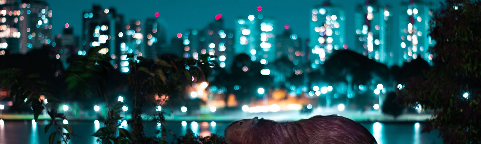 capybara in a nighttime urban setting, lit up city scape in the background