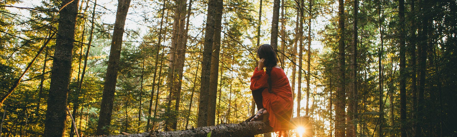 A woman in orange sitting on a cantilevered fallen tree trunk in the woods.