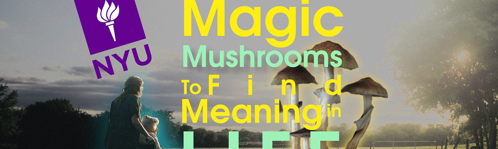 magic mushrooms cancer research nyu
