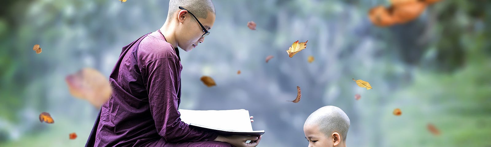 theraveda monk teaching a student who is sitting at his feet