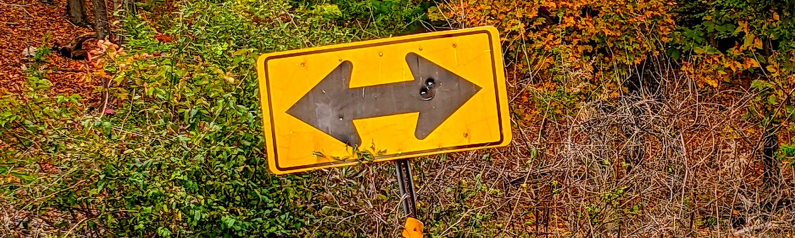 Road sign with an arrow pointing in opposite directions