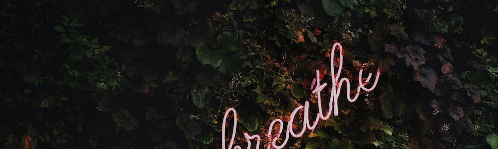 The word breathe. The word breathe is in script and like a neon sign. I chose this word because this is a story about my mother who battled lung cancer.