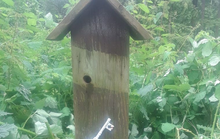 A now repaired double-decker birdhouse sitting in nature.