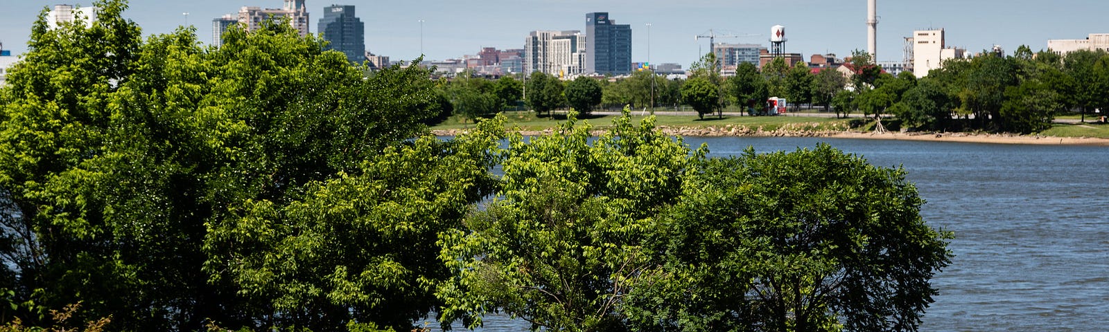 An open garden space along the river with the skyline of Baltimore in the background.