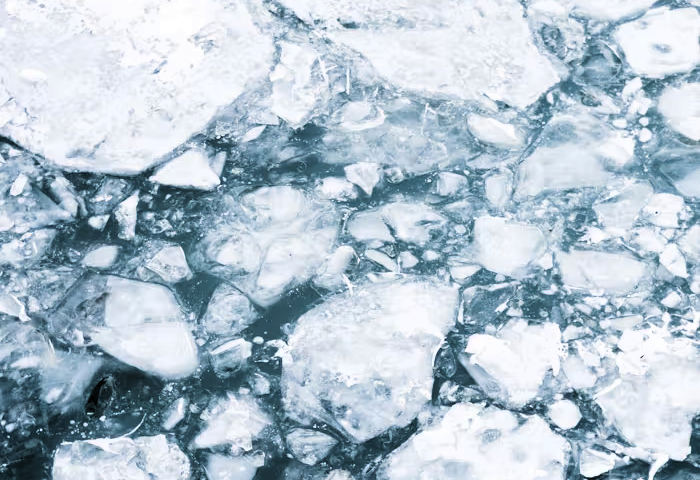 Shards of ice floating in ice cold water.