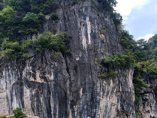 Dramatic cliff with foliage and stripes