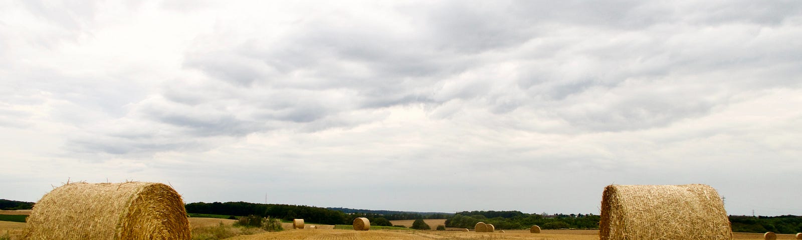 Hay field with hay bales