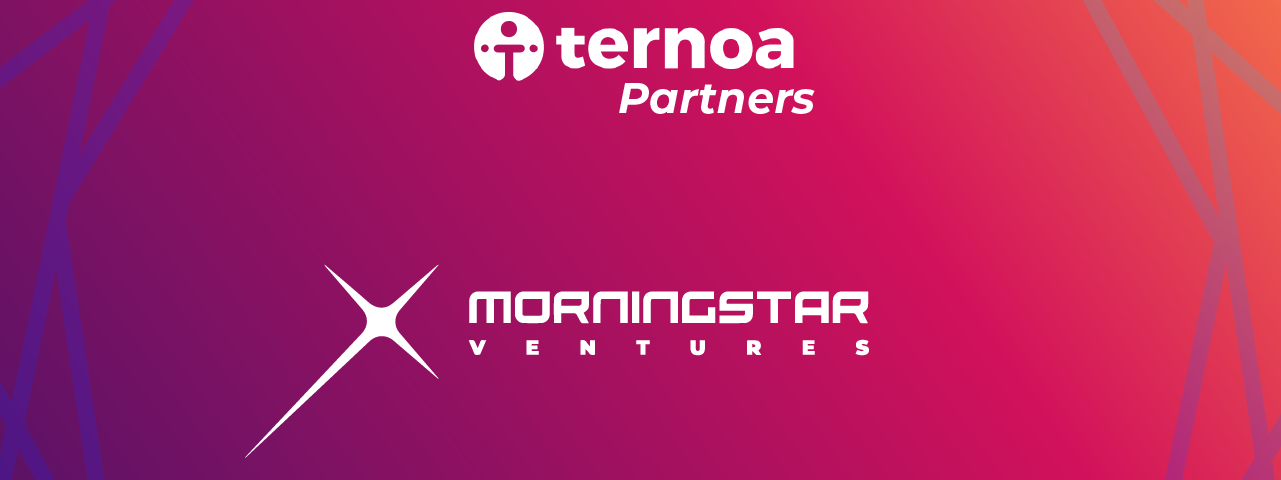 Ternoa & Morningstar Ventures Partnership
