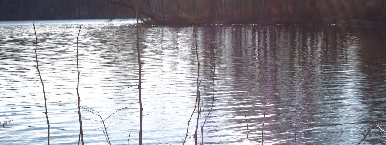 The sunlight shines in little sunbursts on the shore of a small lake, behind the sunburst are streaks of purple on the water. Nature, hiking, water, calm, photography