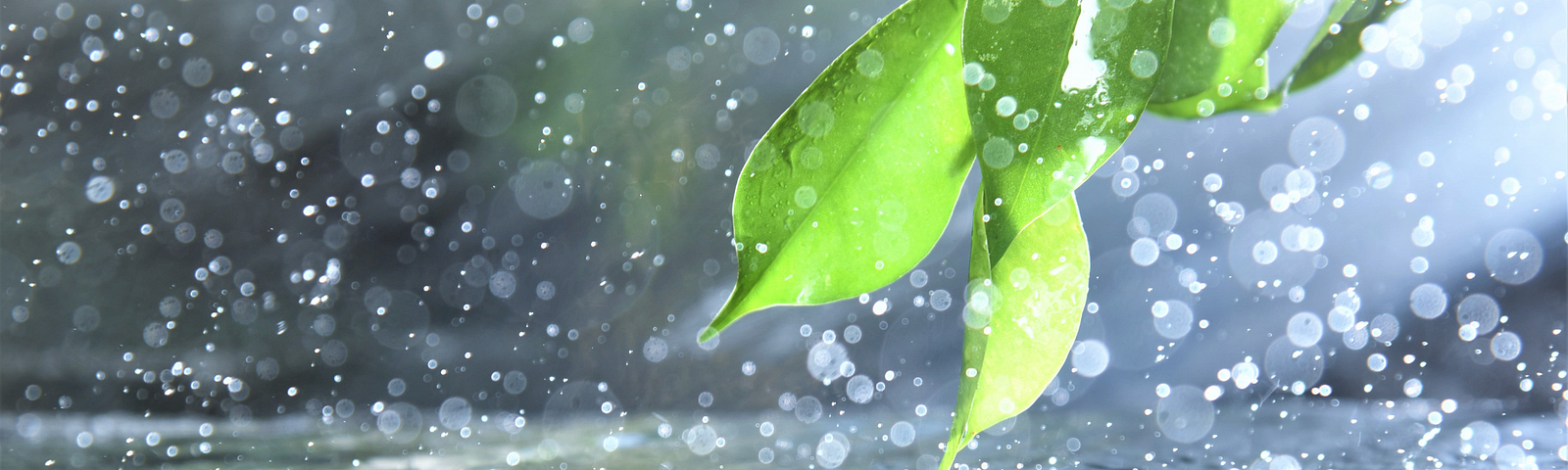 photo of a down pour of rain. In upper right corner are green leaves. At bottom is a dark teal rectangle box with the words: Let the rain soothe your soul.