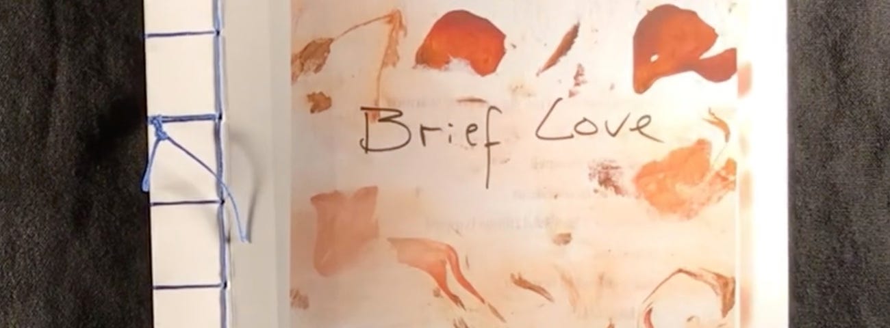 Snapshot from video, cover of Brief Love: artwork of swirling leaves with title and author.