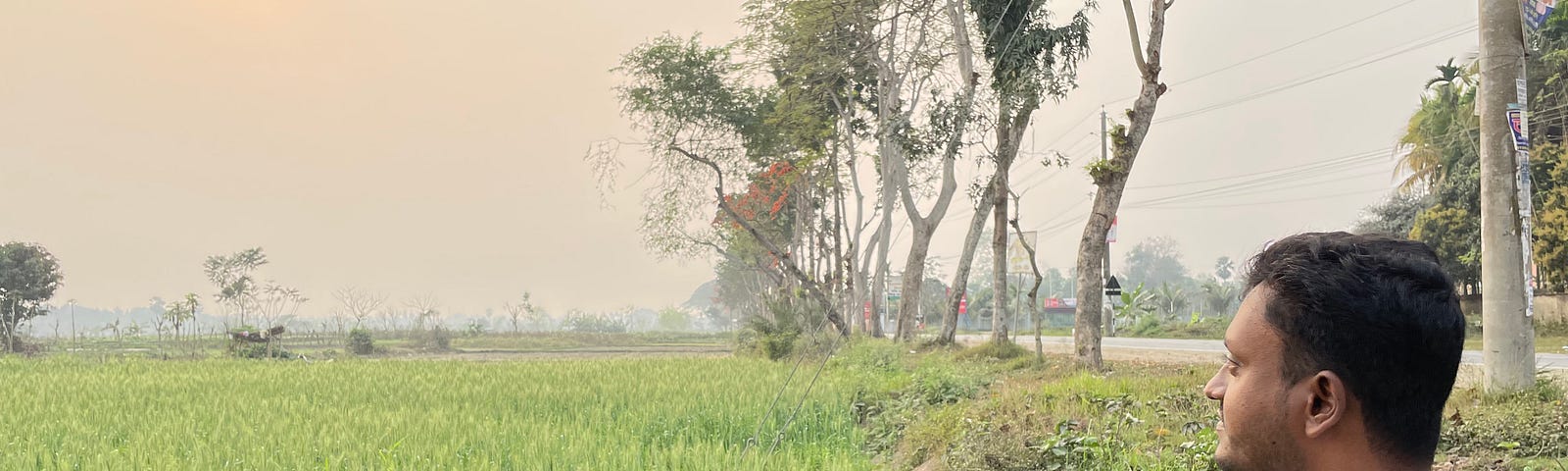 A man standing in a lush field of tall grass bordered by trees and a roadway looks skyward towards the sun blocked by haze.