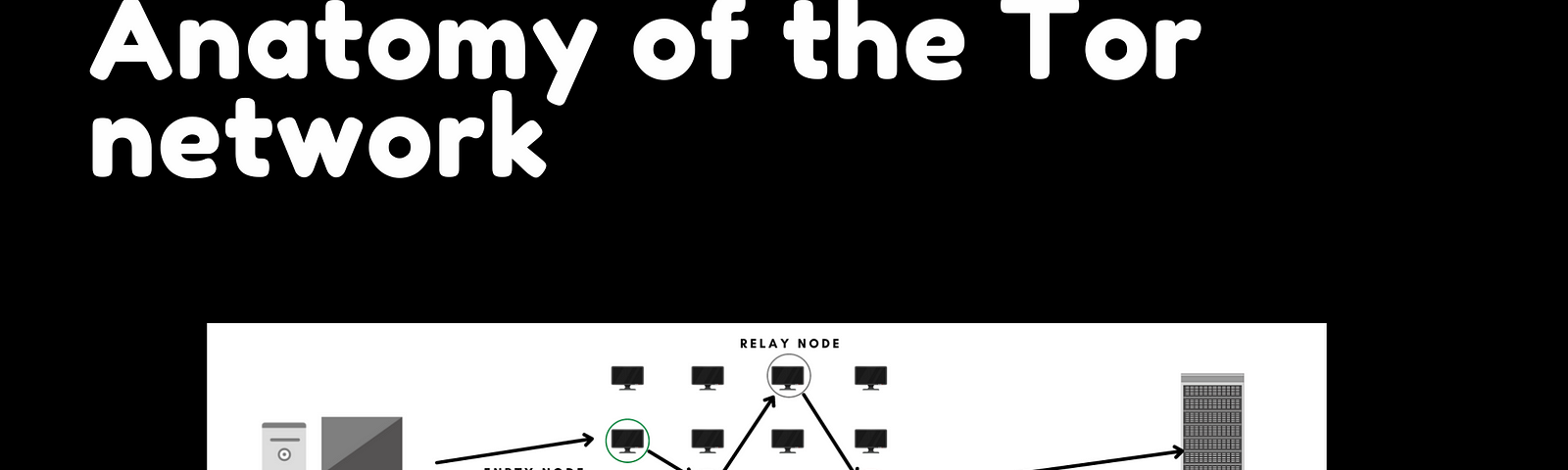 An image showing the Tor mesh encrnetwork