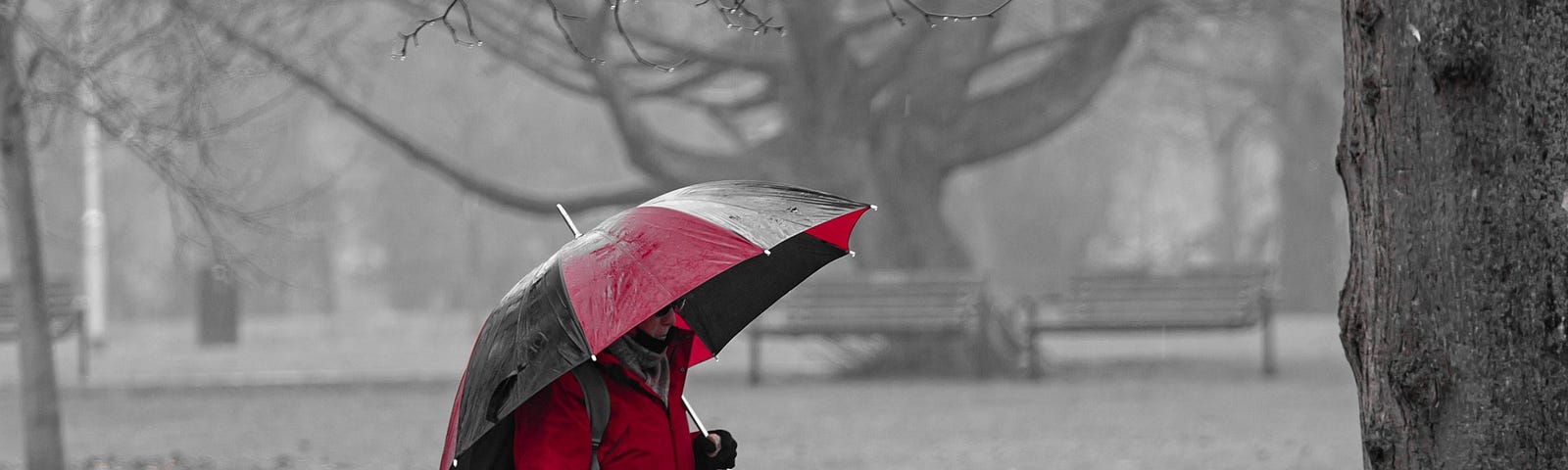 Older woman with umbrella trudging through a park in rain.