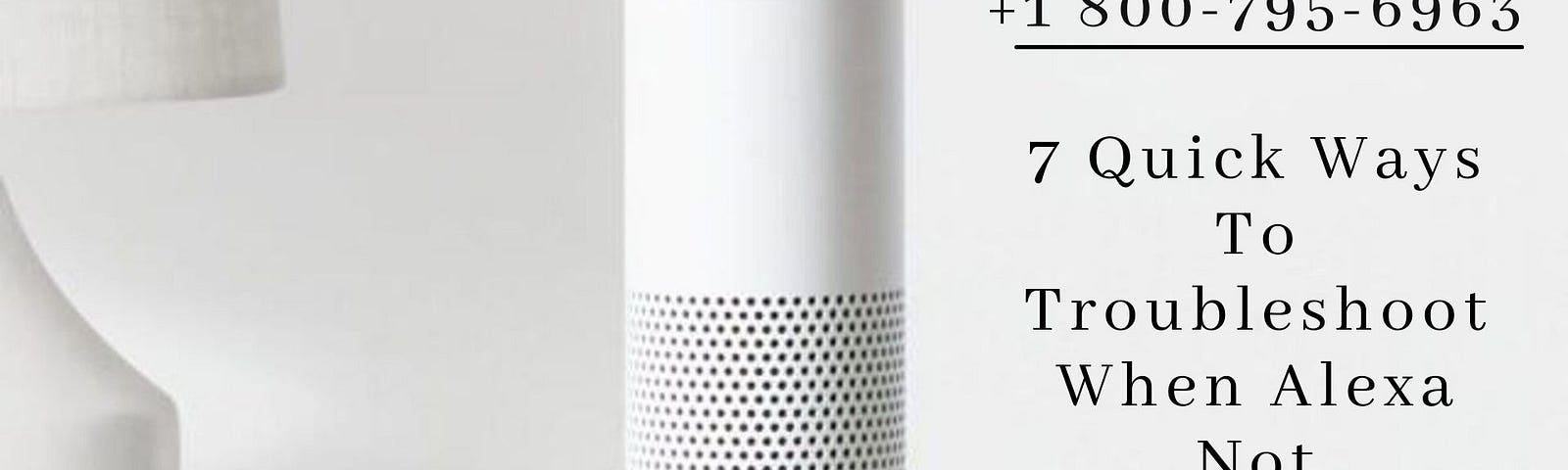 Alexa Not Connecting To Internet