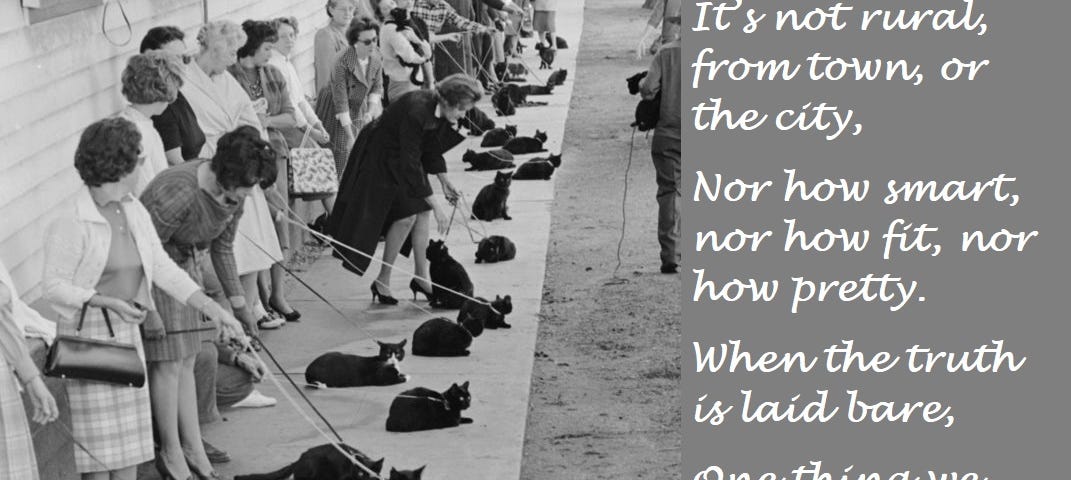 Image in black and white of a line of many women along a sidewalk each one with a black cat on a leash. The image includes the words: Pussy Cat Doodle  It’s not rural, from town, or the city,  Nor how smart, nor how fit, nor how pretty.  When the truth is laid bare,  One thing we seem to share,  Is that all of us here have a kitty.  ~Aurelia Bliss