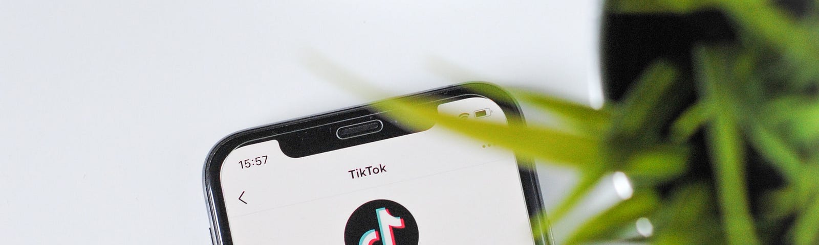 Photo of the TikTok app. Photo Credit: Nik/Unsplash
