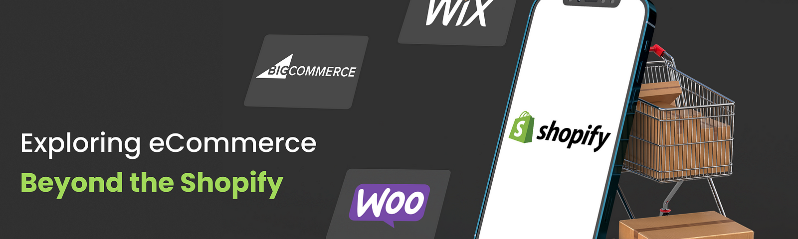 Exploring eCommerce Beyond the Shopify