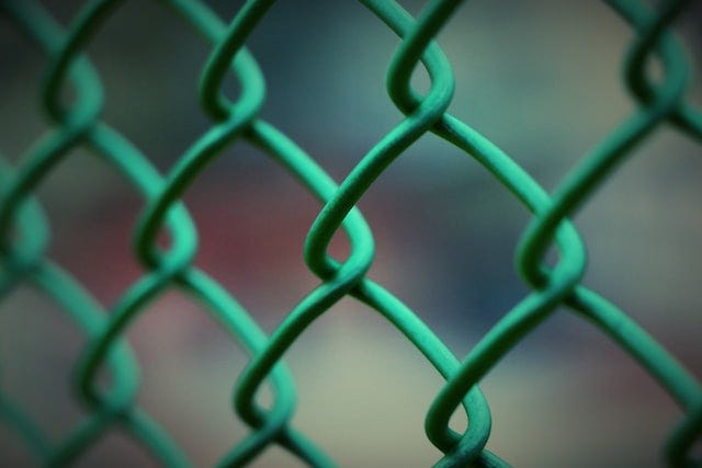 Green chainlink fence