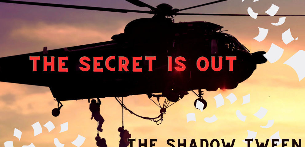 helicopter in sunset. Words on helicopter “The Secret is Out” and “The shadow tween government is watching us”