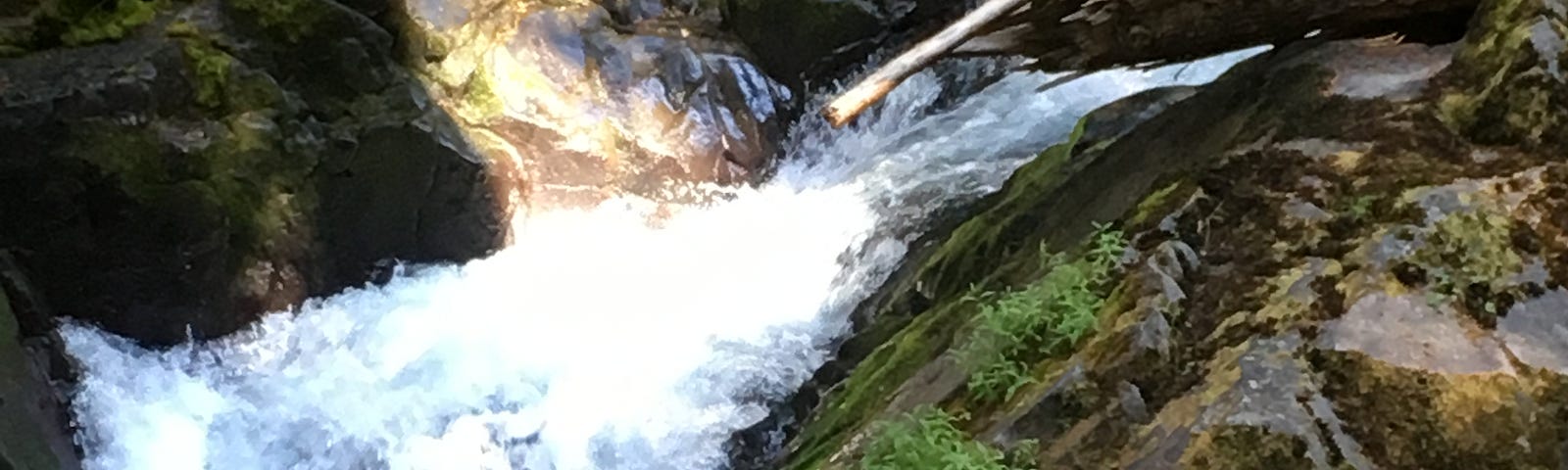 a river running through a gully in the woods