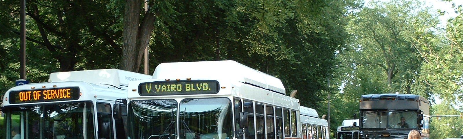 Two buses stopped at a cross walk