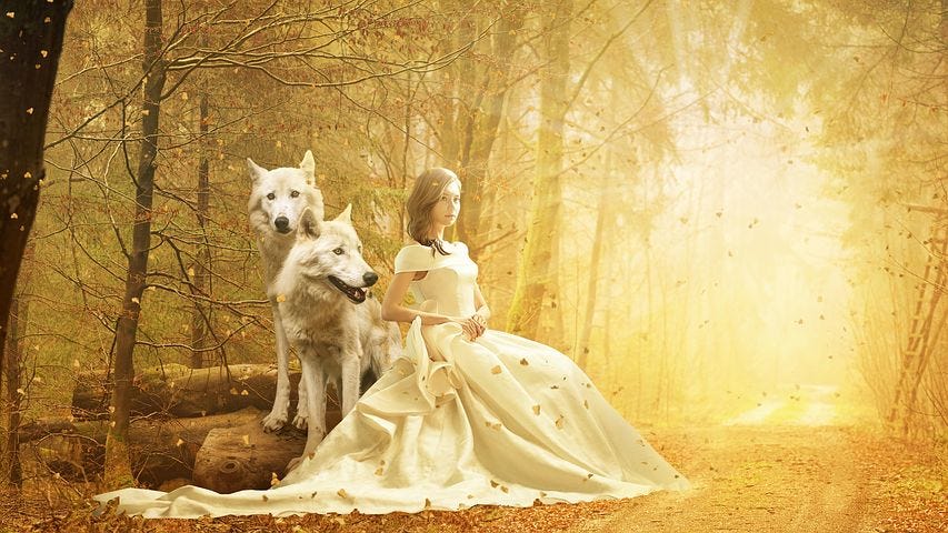 A woman dressed elegantly in white, with her two white wolves, in a sunshine filled forest.