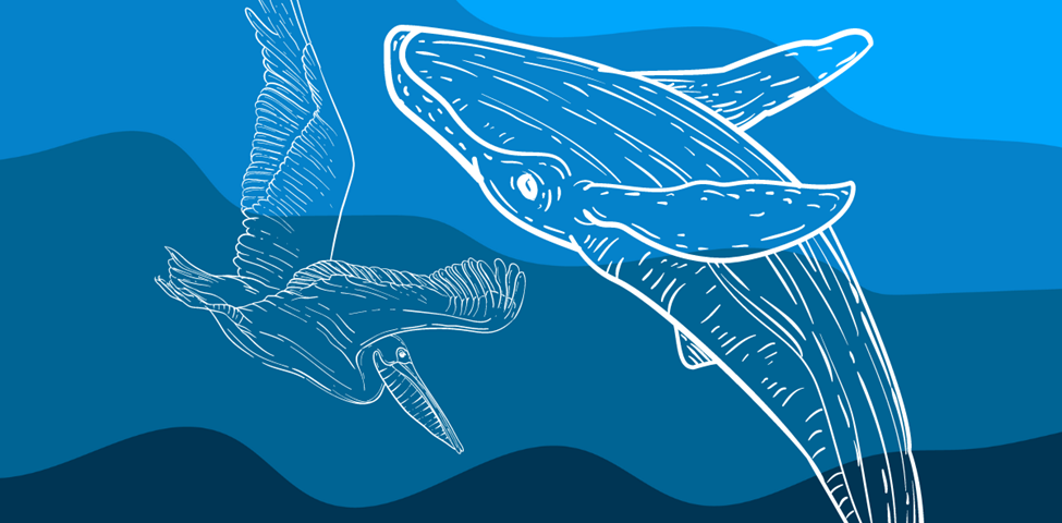 Blue wavey lines pattern with white outlines of a pelican and a whale on it.