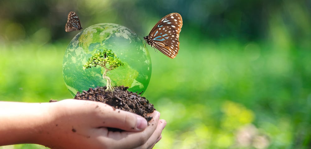 Picture of two hands holding earth.