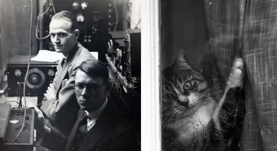 Charles W. Bray and E. Glenn Weaver and Cat
