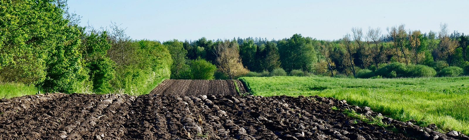 Plowed furrows of dark soil contrasted against green grass and trees.