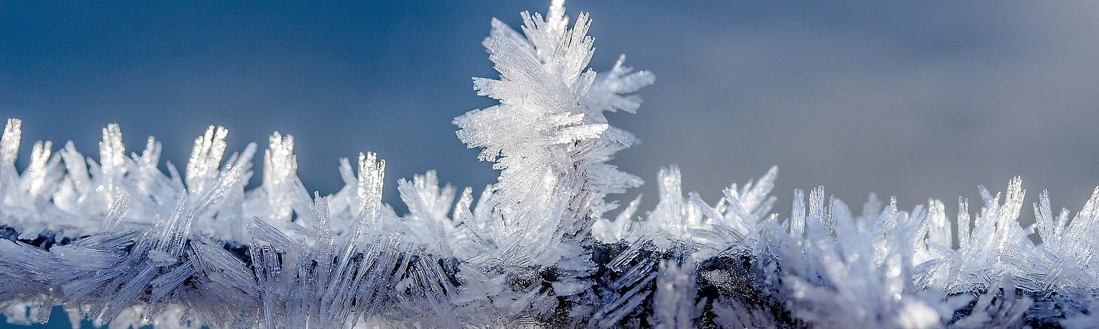 a closeup of barbed wire covered in frost