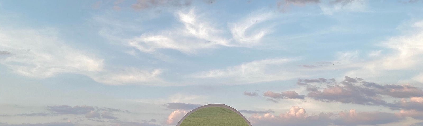 A man man in a field of grass holding a mirror reflecting grass